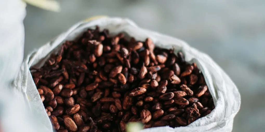 How Much Does It Cost to Make Chocolate at Home?