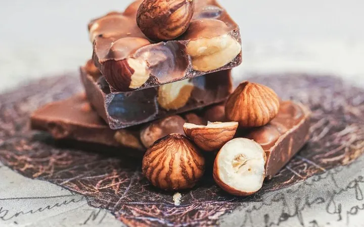 Best Chocolate Tempering Machine for Home Use