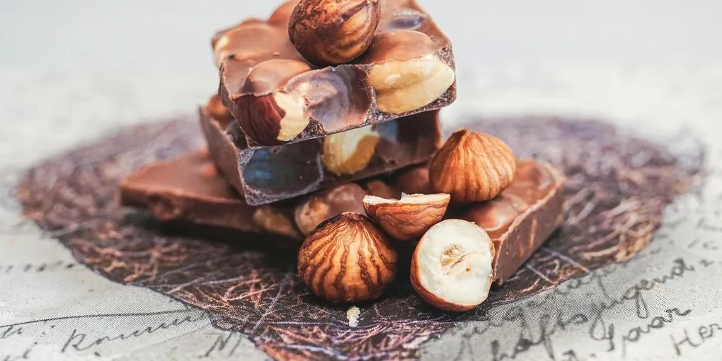 Best Chocolate Tempering Machine for Home Use