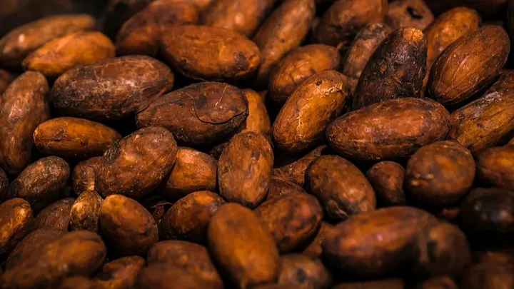 Behmor 2000AB for Chocolate: Complete Roasting Guide