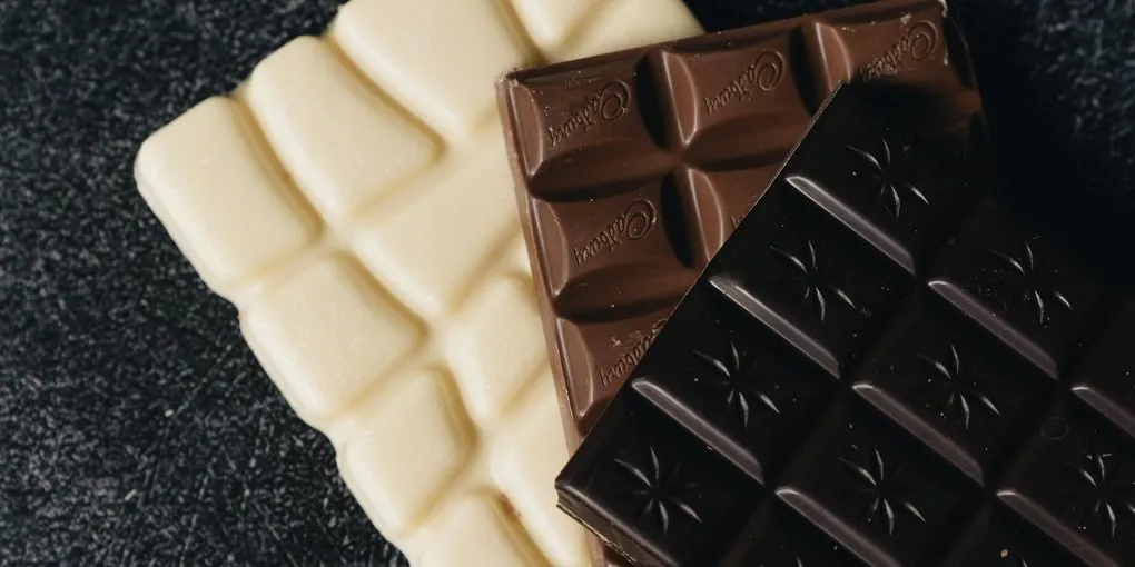 5 Dark Chocolate Recipes: Two-Ingredient to European-Style