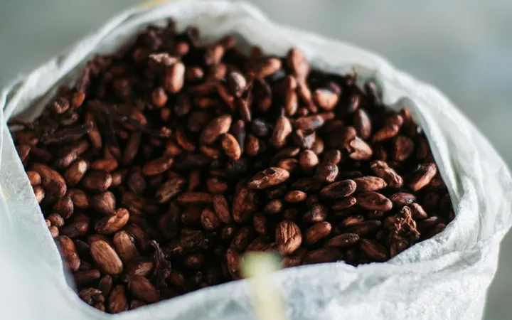 How to Crack and Winnow Cacao Beans