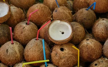 Madagascar Cacao: Why Every Bar Tastes Like Berries