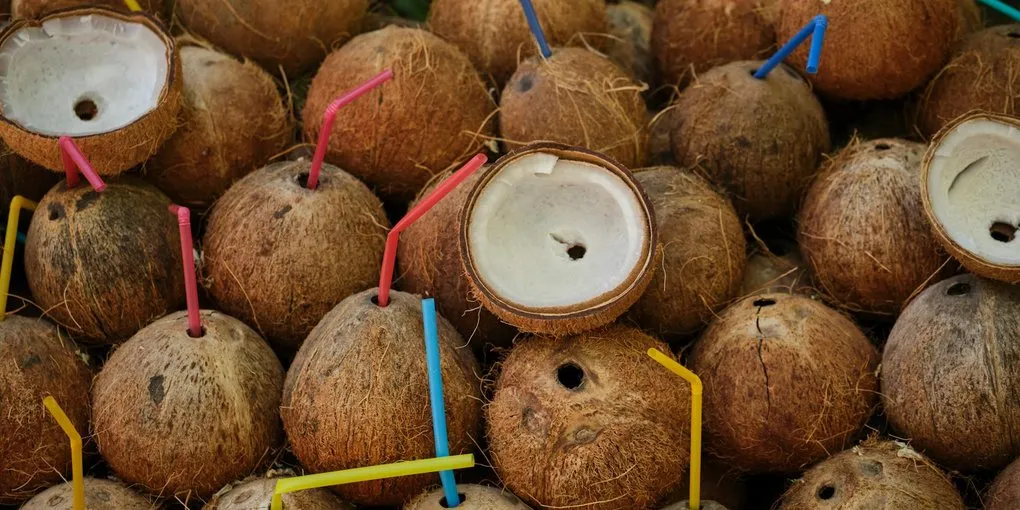 Madagascar Cacao: Why Every Bar Tastes Like Berries