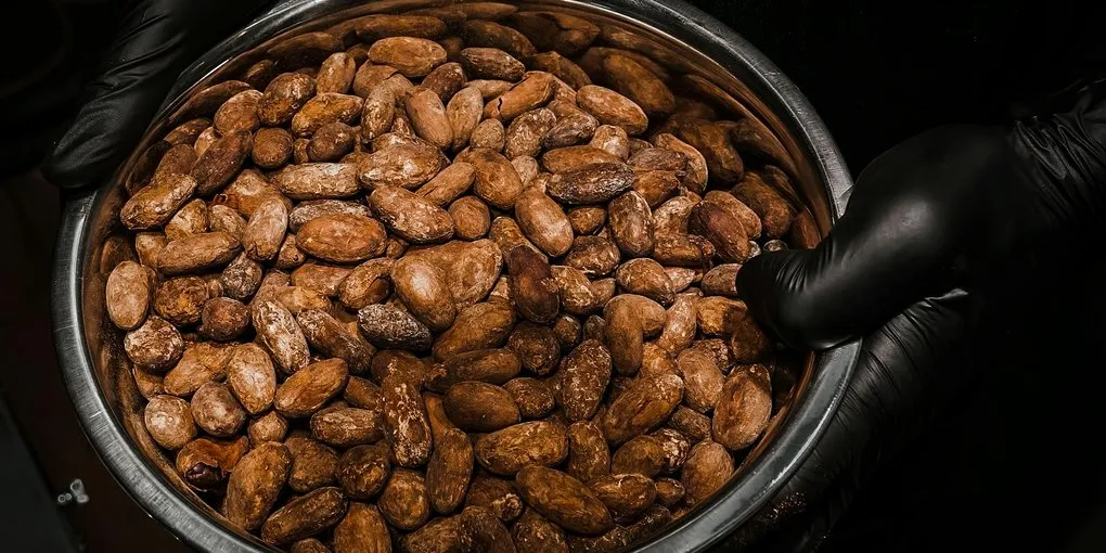 How the Maillard Reaction Builds Chocolate Flavor