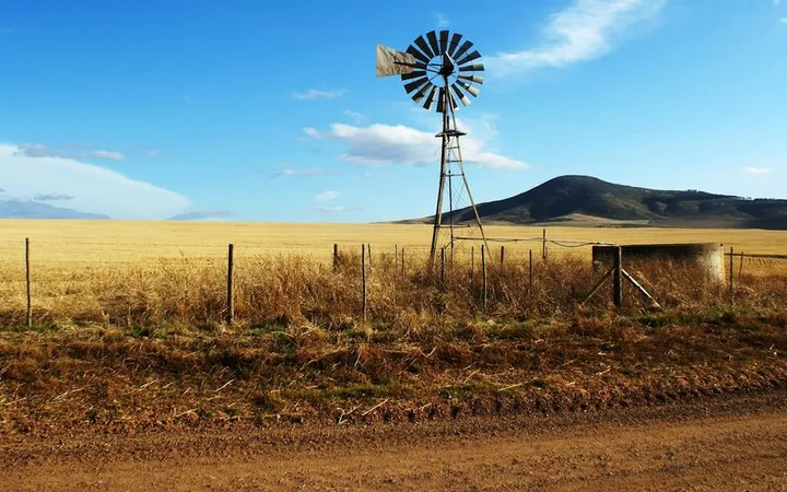 Tanzania Cacao: Honey, Melon & the Kokoa Kamili Model